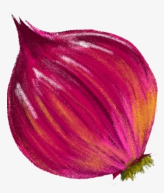After Getting All The Graphic Elements Drawn And Approved, - Red Onions Animated Png, Transparent Png, Free Download