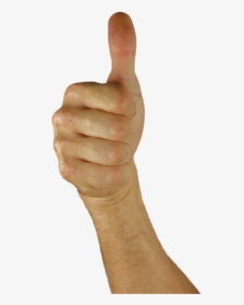 Thumbs Up, Thumb, Hand, Positive, Excellent, Great - Thumbs Up Arm Transparent Background, HD Png Download, Free Download