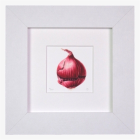 Red Onion Mini Print - Red Onion, HD Png Download, Free Download