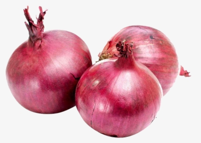 Onion Png Photo - Vegetables Onion, Transparent Png, Free Download