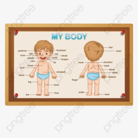 My Body Children, HD Png Download, Free Download