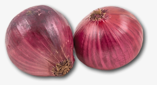 Red Onion, HD Png Download, Free Download