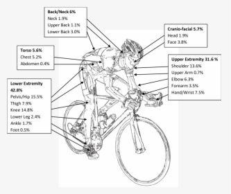 Schematic Drawing Of Reported Injured Body Parts - Hybrid Bicycle, HD Png Download, Free Download