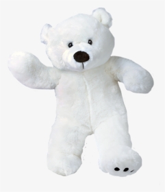 Teddy Bear Png - White Teddy Bear Png, Transparent Png, Free Download