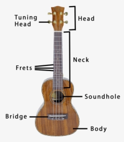 Different Parts Of A Ukulele - Parts Of The Guitar Png, Transparent Png, Free Download