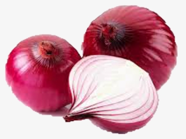 Big Onion, HD Png Download, Free Download
