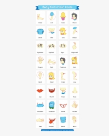 Free Printable Body Parts Flash Cards - Free Printable Body Parts Flashcards In Spanish, HD Png Download, Free Download