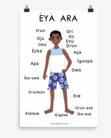 Parts Of The Body In Yoruba, HD Png Download, Free Download