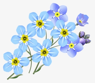 Drawing, Forget Me Nots, Blue, Flower, Small Flowers - Draw A Forget Me Not, HD Png Download, Free Download