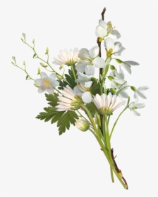 Transparent Small Flower Png - White Flower Bouquet Png, Png Download, Free Download