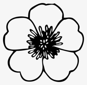 Small Flower Black - Line Drawing Of Flower, HD Png Download, Free Download
