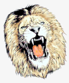 Transparent Lion Head Clipart - Lion Roar Head Png, Png Download, Free Download