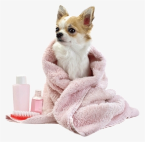 Dog Bath Png Transparent Dog Bath - Dog Grooming Png, Png Download, Free Download