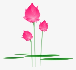 Lotus Flower Png Free, Transparent Png, Free Download