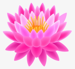 Transparent Background Lotus Clipart, HD Png Download, Free Download