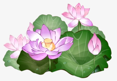 Transparent Vase Clipart - Transparent Background Lotus Flowers Png, Png Download, Free Download