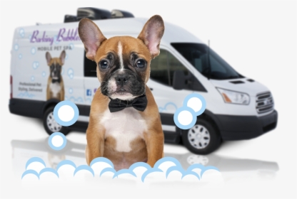 Mobile Pet Grooming Bath Bubbles - Mobile Pet Grooming Columbus Ohio, HD Png Download, Free Download