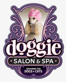 Dog Bath Png, Transparent Png, Free Download