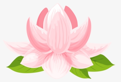 Transparent Lilypad Png - Transparent Background Lotus Flower Clipart, Png Download, Free Download