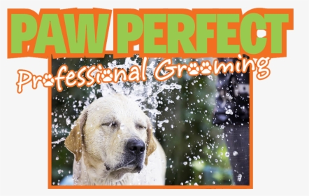 Dog Bath Png, Transparent Png, Free Download