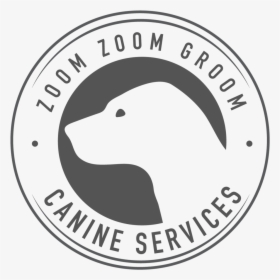 Transparent Dog Bath Png - Steller Sea Lion, Png Download, Free Download