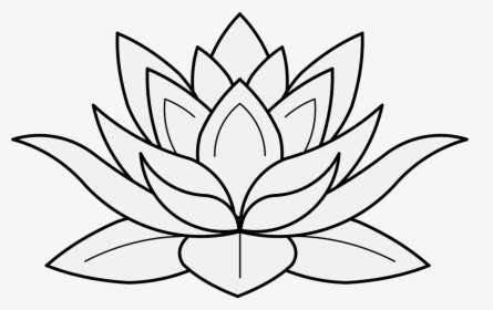 White Lotus Png Images Free Transparent White Lotus Download Kindpng