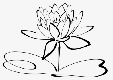 Lotus, Flower, Line Art, Blossom, Bloom, Petal - Lotus Flower Black And White Clipart, HD Png Download, Free Download