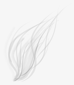Abstract Lines Png Transparent Image - Abstract Lines White Png, Png Download, Free Download