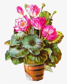 Flower Potted Plant Image Download Clipart Artwork - Artificial Flower, HD Png Download, Free Download