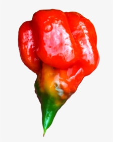 Transparent Ghost Pepper Png - Ghost Pepper Png, Png Download, Free Download