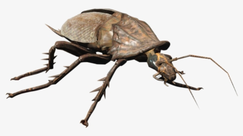 Nukapedia The Vault - Fallout 4 Cockroach, HD Png Download, Free Download