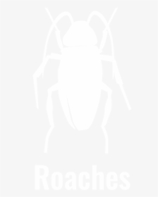 Weevil, HD Png Download, Free Download