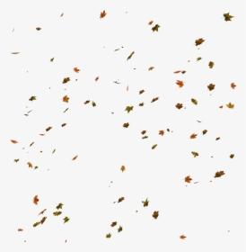 Falling Leaves Png - Transparent Background Fall Leaves Png, Png Download, Free Download