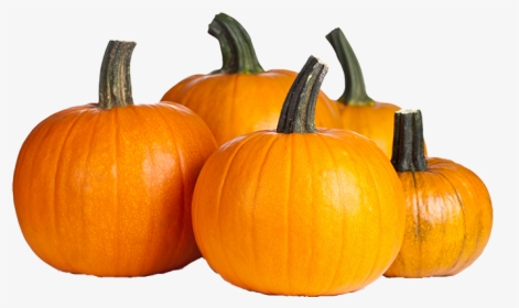 Transparent Background Pumpkins Png, Png Download, Free Download