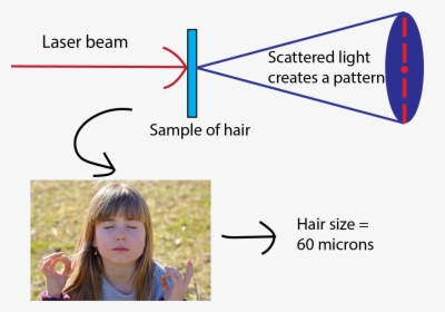 Supporting Image - Measure Thickness Of Hair, HD Png Download, Free Download