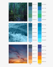 Color Palette 4 - Paleta De Colores De La Naturaleza, HD Png Download, Free Download