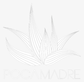Poca Madre Dc Logo, HD Png Download, Free Download