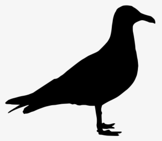 Seagull Png Silhouette Clipart , Png Download - Sea Gull Silhouette, Transparent Png, Free Download