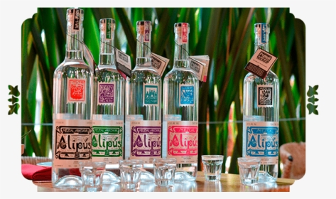 Vuelo Alipús - Mezcal Alipus, HD Png Download, Free Download