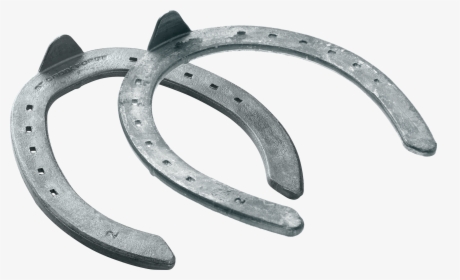 Croix Rapid Fullered, Mano Y Pata, 3d Vista Del Lado - Horse Shoe Side View, HD Png Download, Free Download