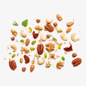 Almond, HD Png Download, Free Download