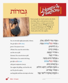 Flyer, HD Png Download, Free Download