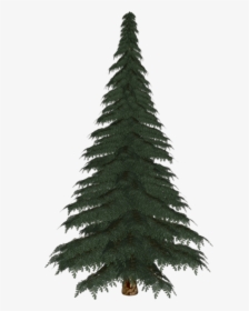 Thumb Image - Christmas Tree, HD Png Download, Free Download
