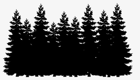 Transparent Pino Png - Transparent Pine Trees Silhouette, Png Download, Free Download
