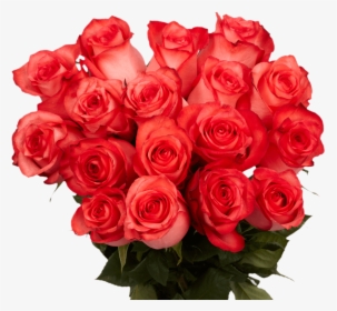 Bright Coral Cute Roses - Cute Roses, HD Png Download, Free Download