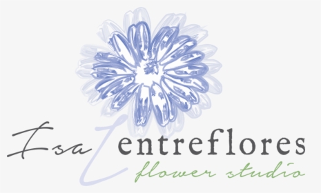 Coral Gables, Fl Florist - Graphic Design, HD Png Download, Free Download
