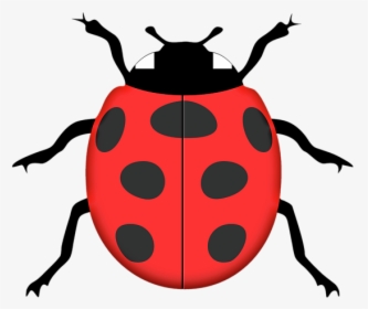 Ladybird Silhouette Stencil Clip Art - Ladybird Silhouette, HD Png Download, Free Download
