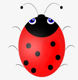 Ladybug, HD Png Download, Free Download
