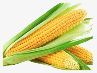 Corn Png Transparent Images - Yummy Sweet Corn, Png Download, Free Download