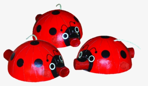 Everyone Wants To Light Off A Ladybug These Unique - Ladybug, HD Png Download, Free Download